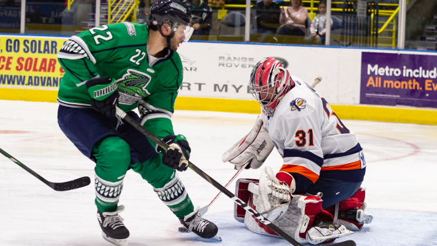 Greenville Swamp Rabbits goaltender Jeremy Helvig vs. the Florida Everblades