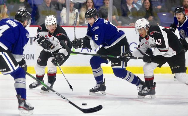 Vancouver Giants centres Milos Roman and Justin Sourdif (right) vs. the Victoria Royals