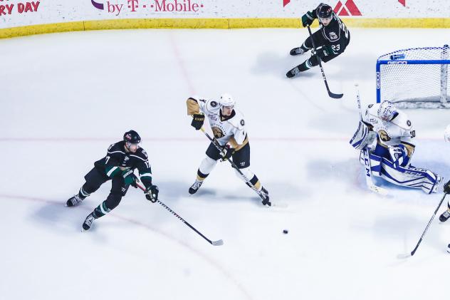 Utah Grizzlies forwards Griffen Molino (left) and Tim McGauley (top) against the Newfoundland Growlers