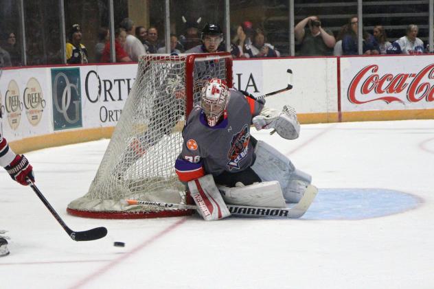 Goaltender Hayden Stewart with the Knoxville Ice Bears