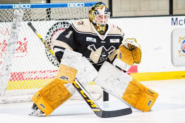 Wheeling Nailers goaltender Emil Larmi
