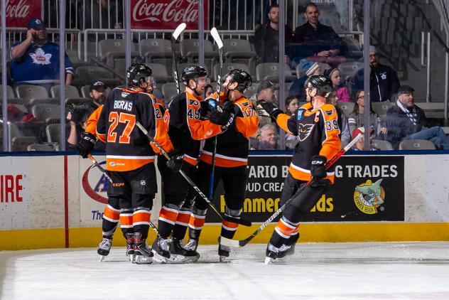Lehigh Valley Phantoms celebrate a goal against the Toronto Marlies