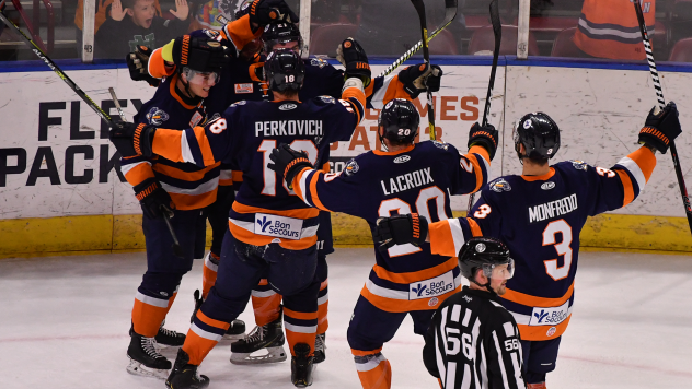 Greenville Swamp Rabbits celebrate a goal
