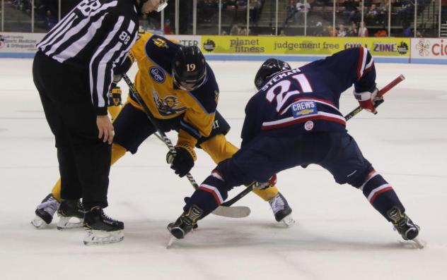 Atlanta Gladiators face off with the South Carolina Stingrays