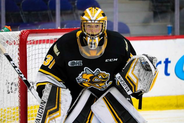 Sarnia Sting goaltender Jordan Kooy