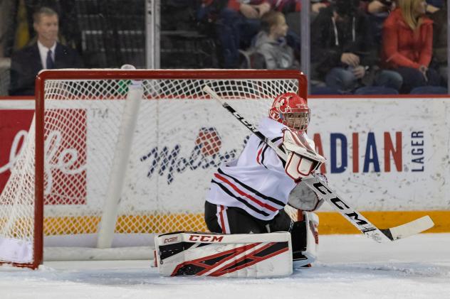 Niagara IceDogs goaltender Tucker Tynan