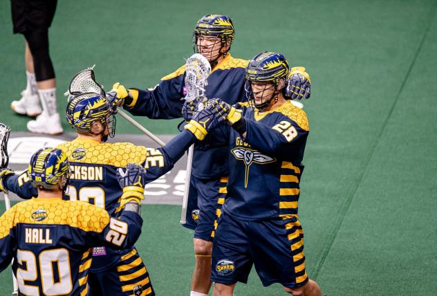 Georgia Swarm celebrate a goal