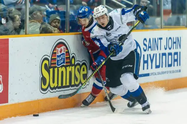 Saint John Sea Dogs right wing Alex Drover