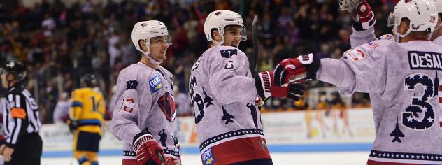 South Carolina Stingrays celebrate a goal