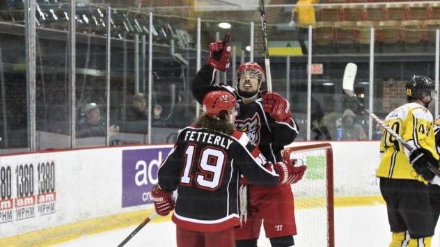 Austin Fetterly and the Port Huron Prowlers celebrate a goal