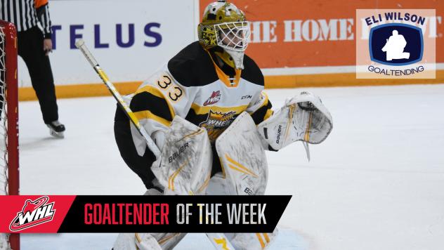 Brandon Wheat Kings goaltender Jiri Patera