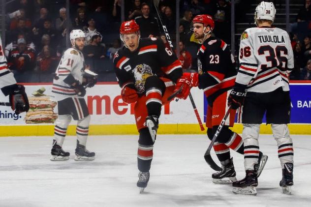 Grand Rapids Griffins react after a goal