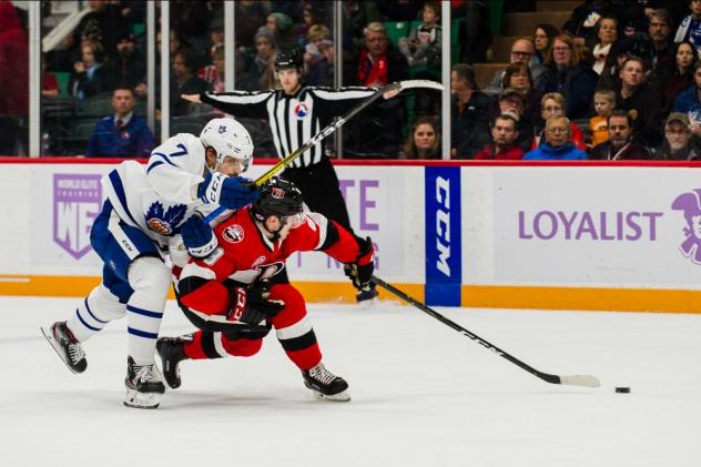 Belleville Senators vs. the Toronto Marlies
