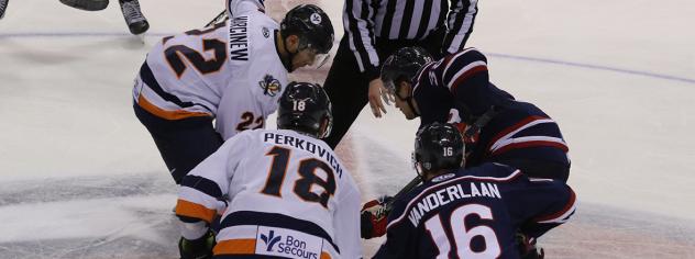 South Carolina Stingrays face off with the Greenville Swamp Rabbits