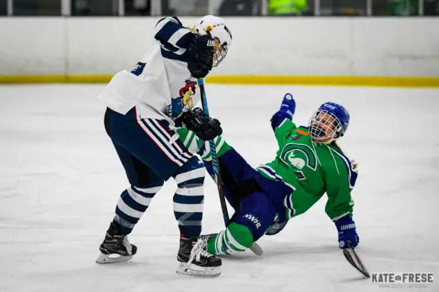 Metropolitan Riveters vs. the Connecticut Whale