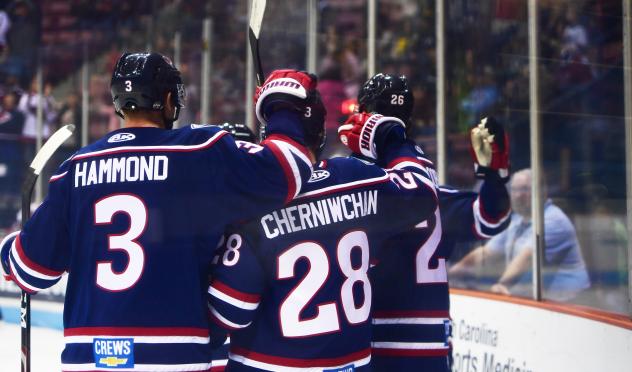 South Carolina Stingrays celebrate a goal
