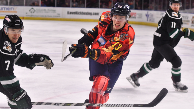 Greenville Swamp Rabbits forward Kamerin Nault (right) vs. the Utah Grizzlies