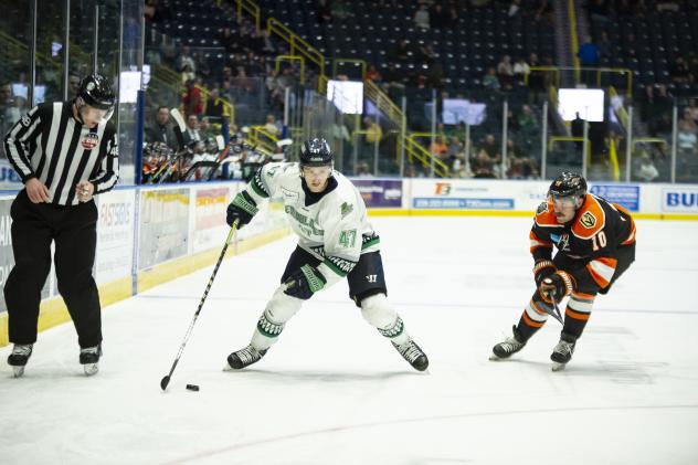 Florida Everblades defenseman Logan Roe