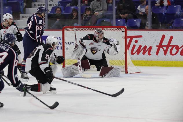 Vancouver Giants goaltender Trent Miner snags a puck vs. the Tri-City Americans
