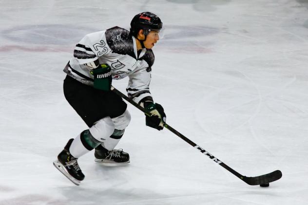 Utah Grizzlies forward Tim McGauley