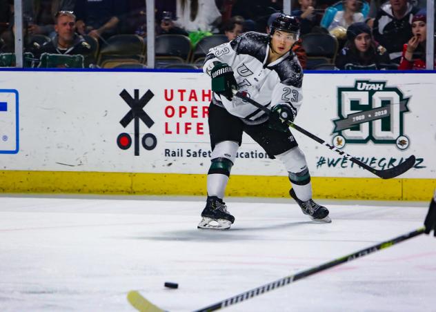Utah Grizzlies forward Tim McGauley