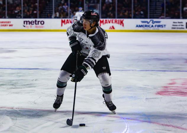 Utah Grizzlies forward Tim McGauley