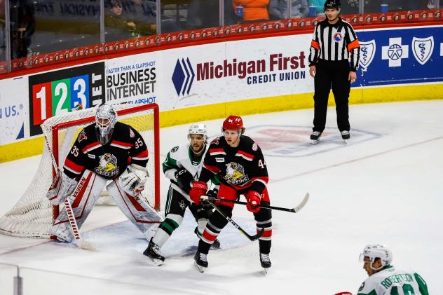 Texas Stars vs. the Grand Rapids Griffins