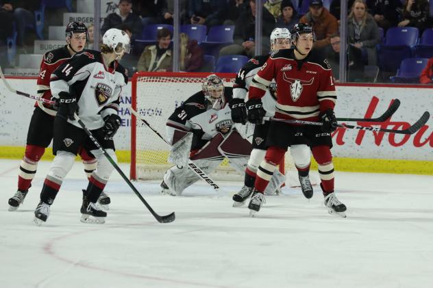 Vancouver Giants goaltender Trent Miner vs. the Red Deer Rebels