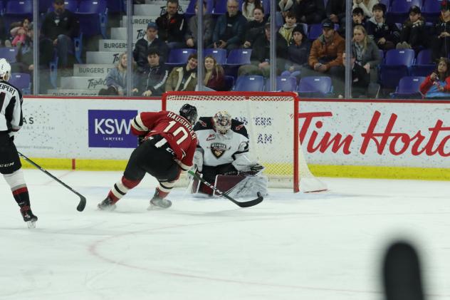 Vancouver Giants goaltender Trent Miner vs. the Red Deer Rebels