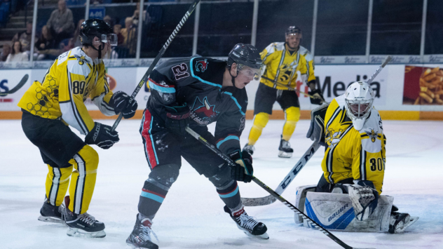 Parker Moskal of the Columbus River Dragons vs. the Battle Creek Rumble Bees