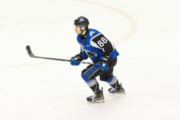 Saint John Sea Dogs right wing Maxim Cajkovic