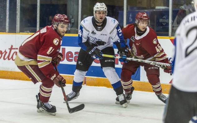 Saint John Sea Dogs right wing Anderson MacDonald vs. the Acadie-Bathurst Titan