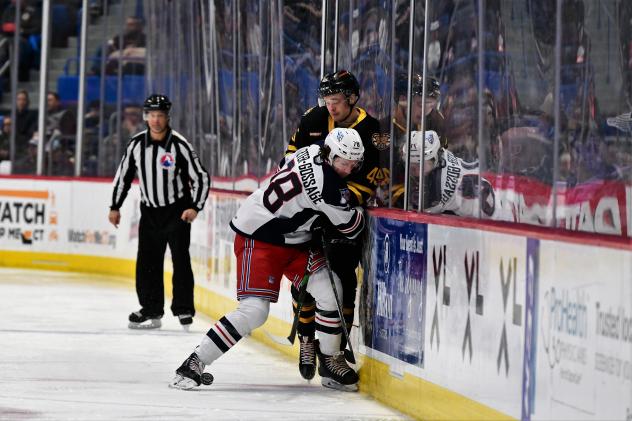 Hartford Wolf Pack forward Lewis Zerter-Gossage