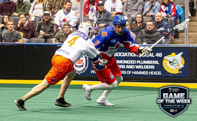 Toronto Rock vs. the Halifax Thunderbirds