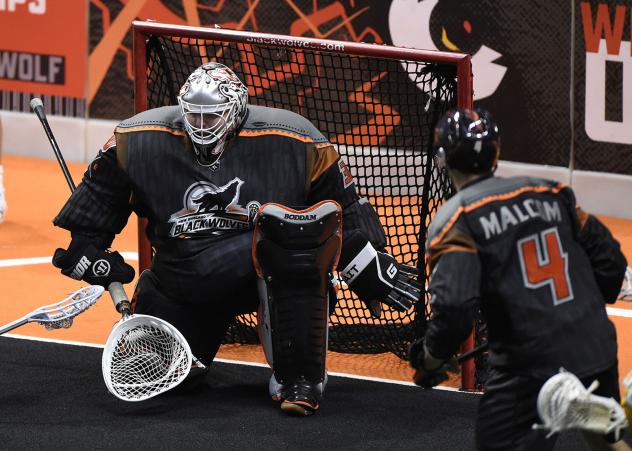 New England Black Wolves goalkeeper Doug Jamieson