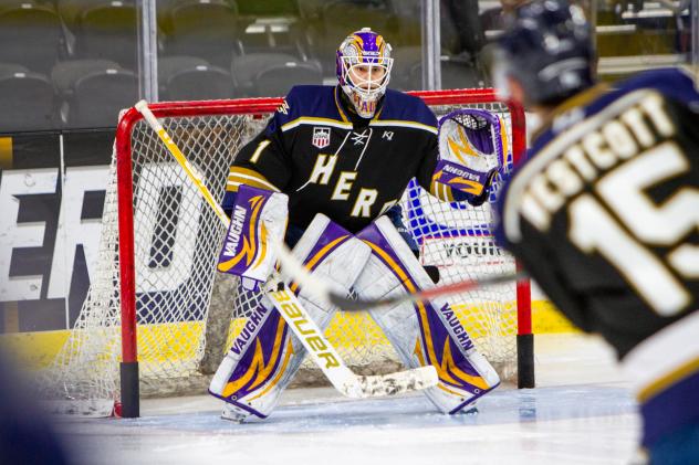 Sioux Falls Stampede goaltender Jaxson Stauber