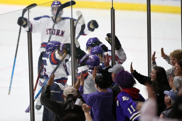 Tri-City Storm and fans celebrate a goal