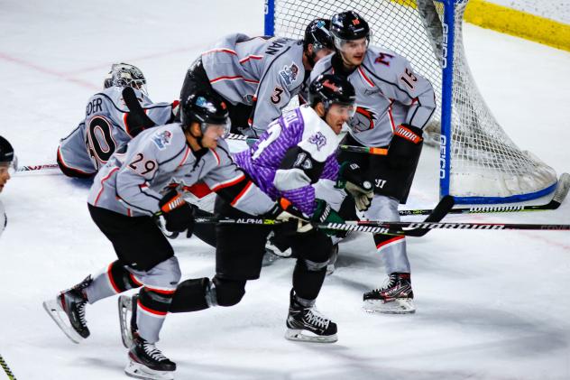 Utah Grizzlies forward Mitch Maxwell battles the Kansas City Mavericks