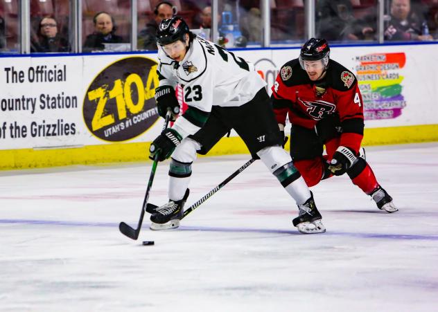 Utah Grizzlies forward Tim McGauley