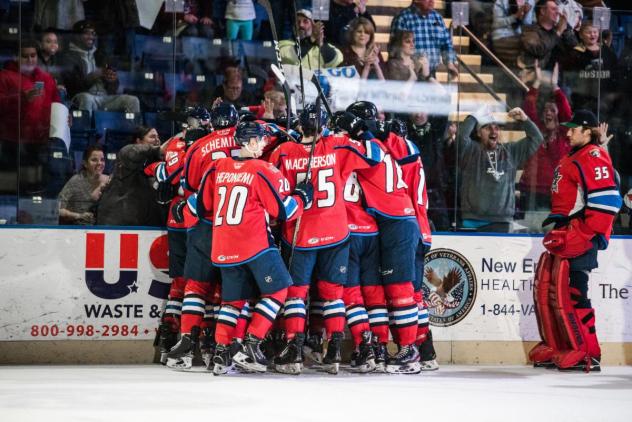 Springfield Thunderbirds celebrate a goal in front of the crowd