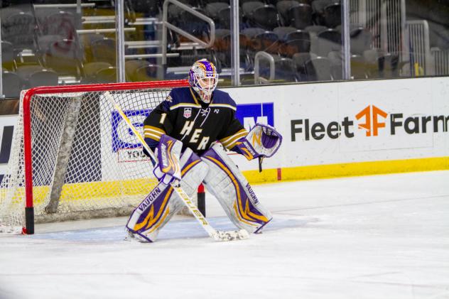 Sioux Falls Stampede goaltender Jaxson Stauber