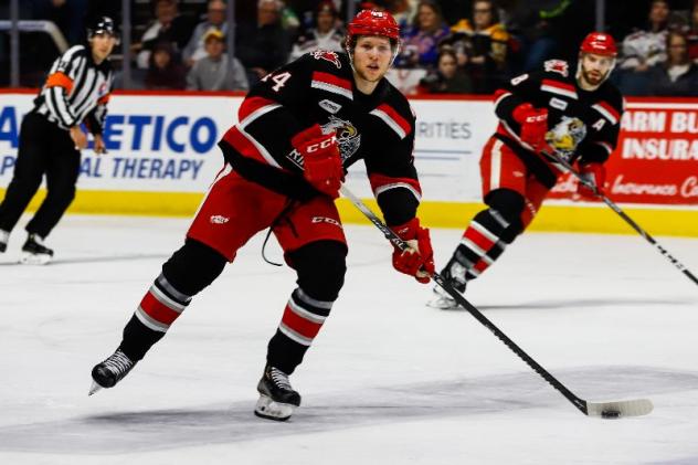 Grand Rapids Griffins defenseman Dennis Cholowski