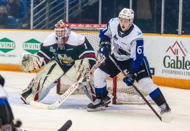 Saint John Sea Dogs left wing Dawson Stairs sets up in front of the Halifax Mooseheads net