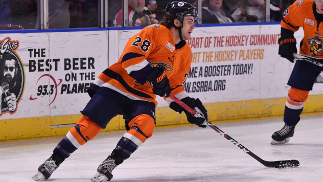 Greenville Swamp Rabbits forward Liam Pecararo