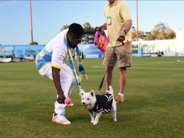 Las Vegas Lights FC Paws on the Pitch