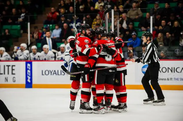 Belleville Senators celebrate a goal