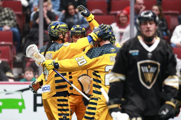 Georgia Swarm celebrate a goal against the Vancouver Warriors
