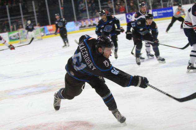 Defenseman Sean Kacerosky with the Quad City Storm