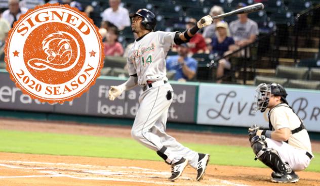 Long Island Ducks outfielder D'Arby Myers