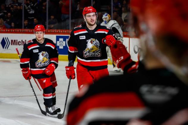Grand Rapids Griffins along the bench